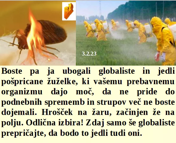 Slovenski in svetovni politični hlev na dan 3.2.23