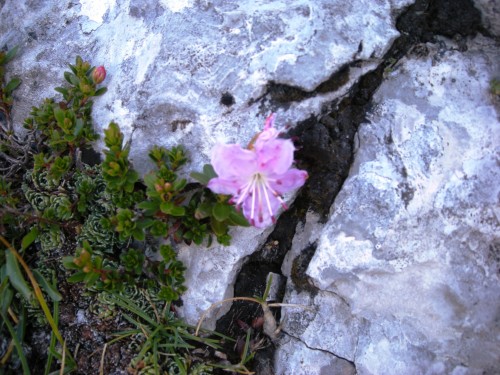 Prevara vedno prizadene