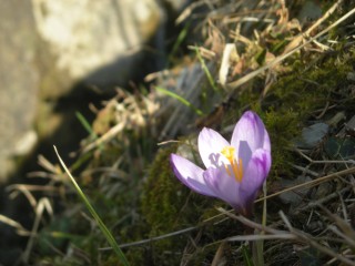 Žena z zaprtimi očmi