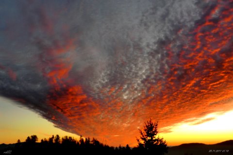 
				Chemtraili nad Slovenijo, za telebajske samo contraili ;) 			