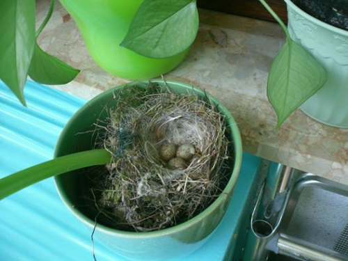 Fotografija osebe Ivana Gantar.