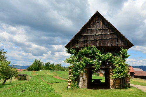Kozolec ob Jakobovi poti (fotografija je simbolična)