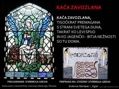 KAČA ZAVOZLANA