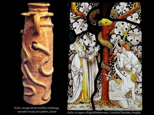 KAČA OSVAJA VSE SKRITE KOTIČKE VITALNEGA