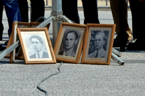 Slike žrtev, foto: A. Čerin.
