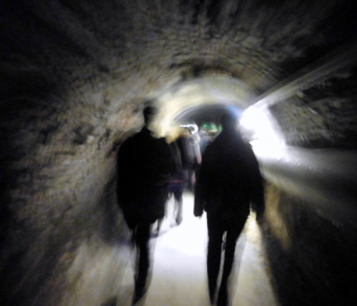 Foto: Karmen Kristan