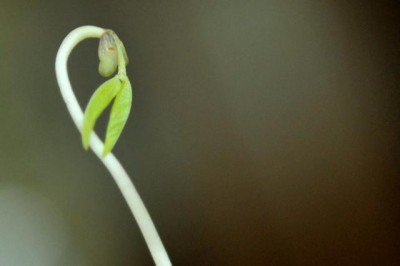 Majhen potencial za veliko ljubezen (foto: STA)