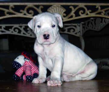 12476583_10207254410333047_1621781052_n