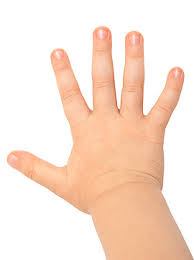 Rezultat iskanja slik za fingerspiel