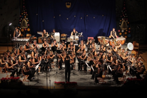 Koncert 23.5. 2015