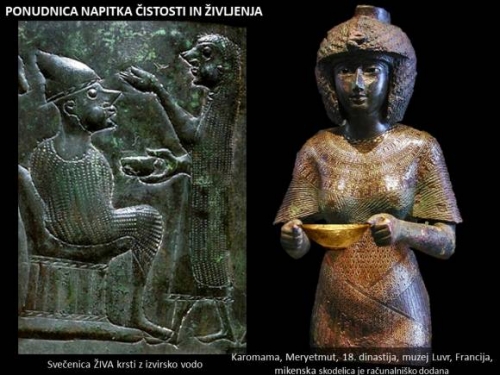 PONUDNICA NAPITKA ČISTOSTI IN ŽIVLJENJA