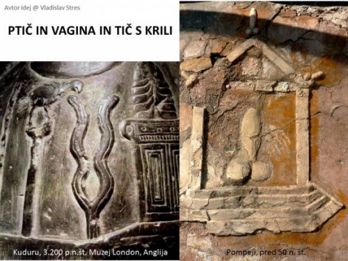 PTIČ IN VAGINA IN TIČ S KRILI