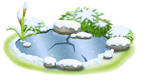 Rezultat iskanja slik za gefrorener teich bilder