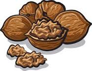 Rezultat iskanja slik za nusse clipart