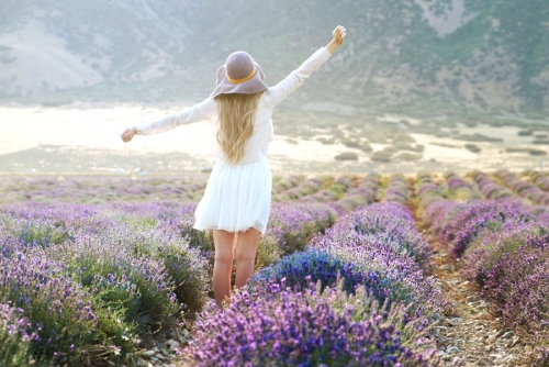 
				di&scaron;eče z sivko			