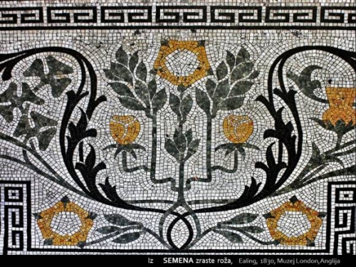 SEME, KORENINE IN CVET