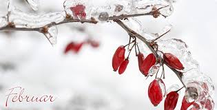 Rezultat iskanja slik za februar bilder