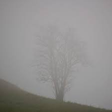 Rezultat iskanja slik za februar regen