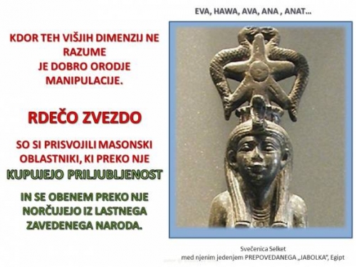 SELKET in njena morska zvezda