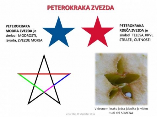 zvezda kot telo človeka in simbol zvezde morja