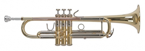 				Trobenta Bach TR450			
