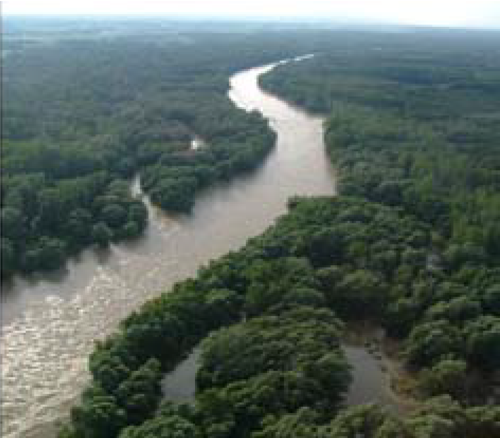 				Fotografija 25: Mura  v občini Ljutomer			