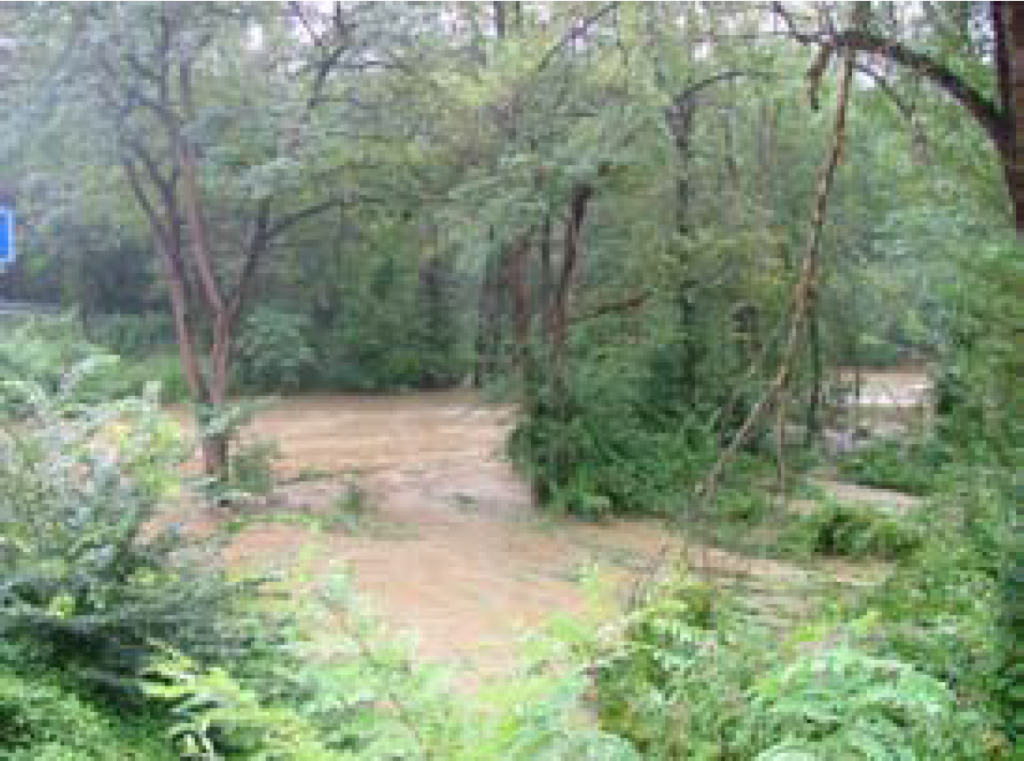 				Fotografija 14: Mura v Radencih / h-max= 540 cm			