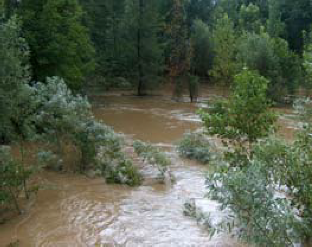 				Fotografija 22: Mura Veržej / h-max= 110 cm			