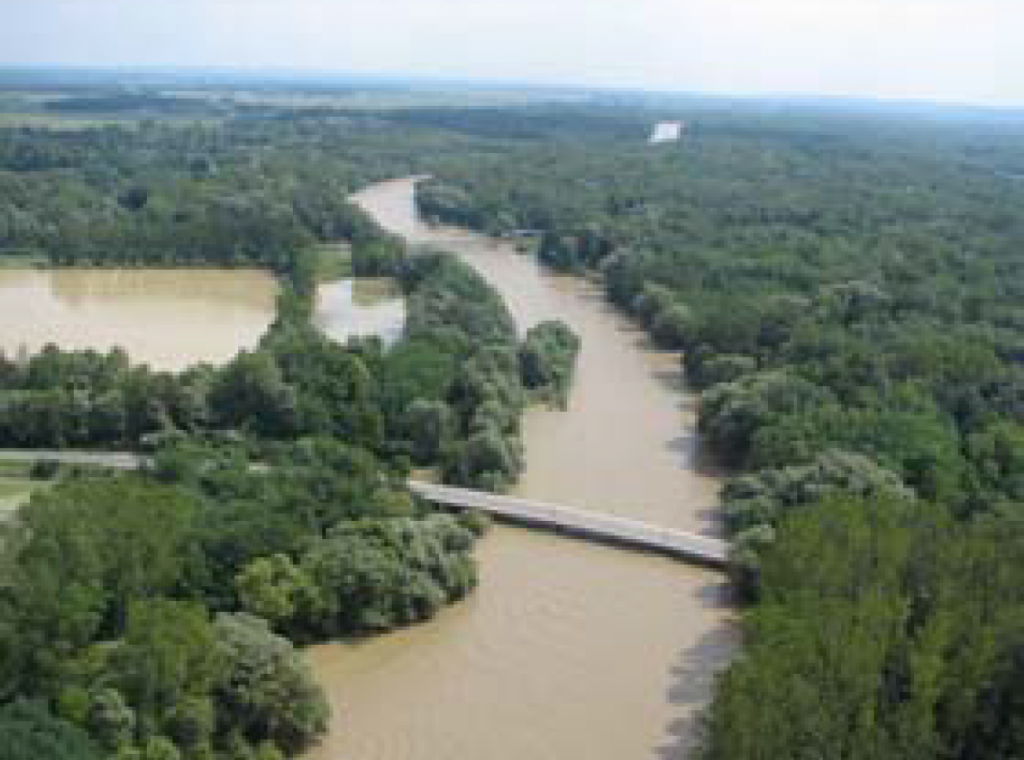 				Fotografija 21: Mura pri Veržeju / 23.8.2005			