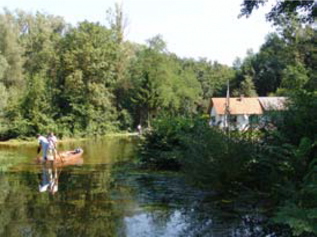 				Fotografija 26: Mura v Spodnjem. Krapju			