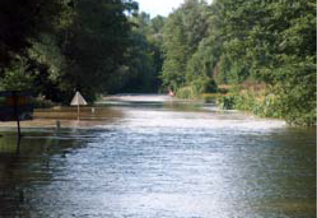 				Fotografija 27: Mura pri Razkrižju / 23.8.2005			