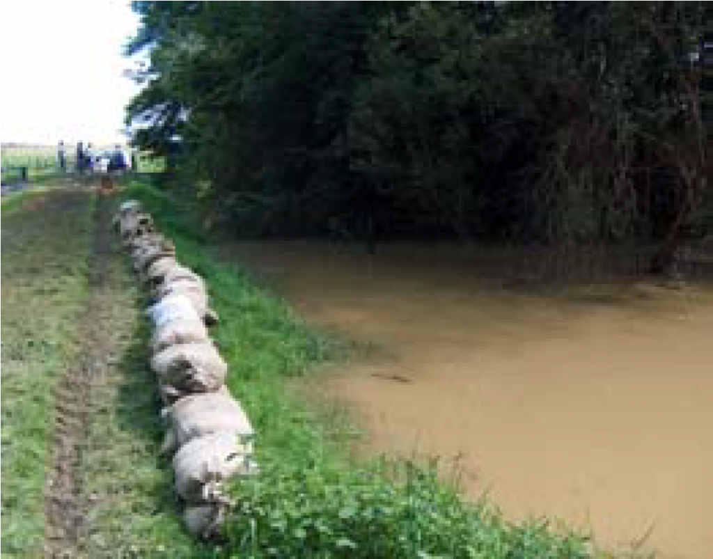 				Fotografija 30: Mura Bistrica / 23.8.2005			
