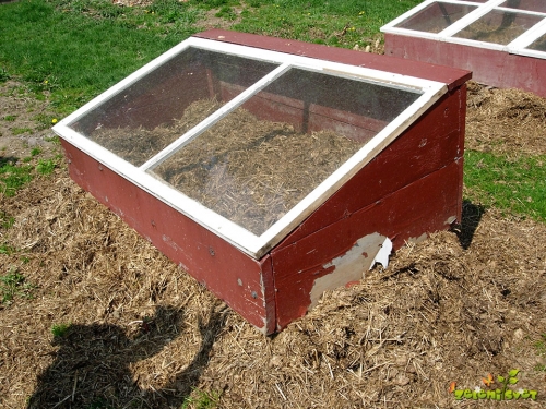 TOPLA GREDA in ČEBELE