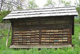 Rezultat iskanja slik za anton jan&scaron;a slike