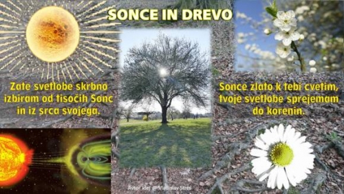 POMLAD JE PRIŠLA - SONCE IN DREVO