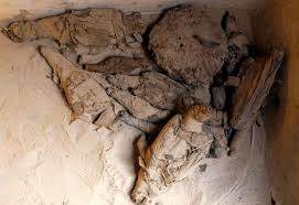 Rezultat iskanja slik za mumificirana miš slike