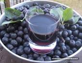 Rezultat iskanja slik za aronija slike