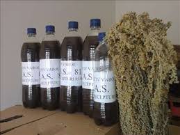 Rezultat iskanja slik za KAS - 81 slike