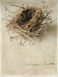 minor-but-fabulous:    Empty by Pamela Schmieder (raewillow) Complex Woven Structure