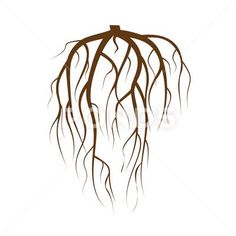 Tree Underground Roots Vector. Brown Tree Root On White Background Flat Isolated Stock Illustration #AD ,#Vector#Brown#Root#Tree