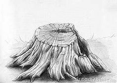 Pencil Drawing of Tree Stump Mushrooms - Bing images#bing #drawing #images #mushrooms #pencil #stump #tree