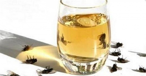 Postavite to v kot terase in v bližini več ne boste imeli muh, ščurkov ali komarjev!