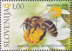 World Bee Day (Bees) . Slovenia 2018
