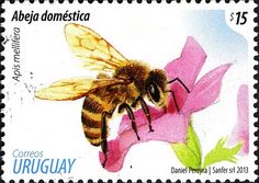 Bees - Honey Bee Stamps, Beekeeping, Apiculture - Stamp Community Forum - Page 5