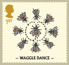 Waggle Dance