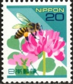 Honey Bee (Apis mellifera ssp.), Chinese Milk Vetch (Astraga