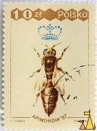 Queen Western Honeybee, Polska, Poland, stamp, insect, bee, K Sliwka, PWPW, 87, Apimondia'87, 10 Zl, Apis mellifera, queen