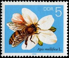 Bee and Beehive Stamp Collection