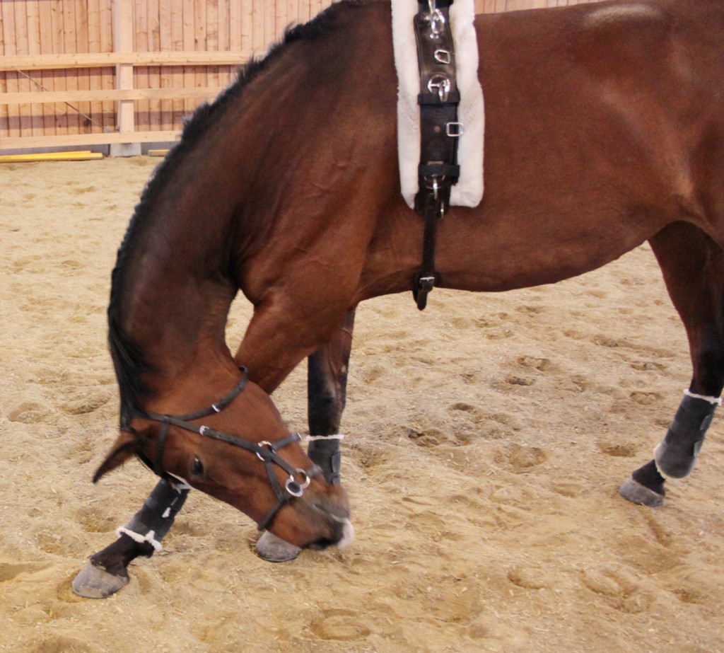 
				Stresanje z glavo pogosto spremlja tudi pretirano praskanje ob noge, prhanje in kihanje ali ka&scaron;ljanje.			