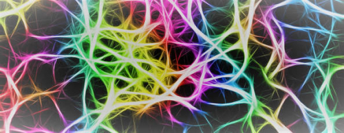 3 Body Brains, 3 Energy Centres & 3 Types of Intuition... - INVOKE ...